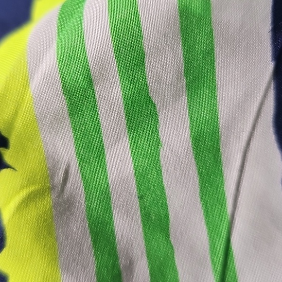 L blue Green Stripes Swimshorts size 2t - Picture 4 of 6